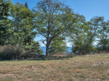 SL3 129 Joyce Rd, Quadra Island