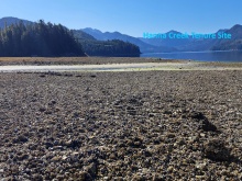 BCO-NootkaSoundShellfishLtd