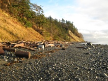 BCO-129JoyceRdSL7-QuadraIsland