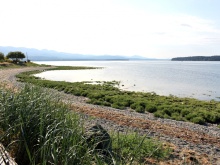 BCO - 5435 Deep Bay Dr, Bowser