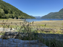 DL389 McBride Bay