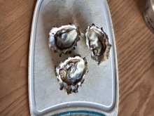 BCO-NootkaSoundShellfishLtd