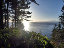 BCO - SL4 129 Joyce Rd