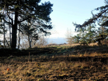 BCO - SL4 129 Joyce Rd