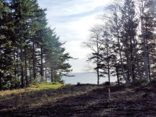 BCO - SL4 129 Joyce Rd