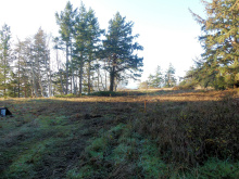 BCO - SL4 129 Joyce Rd