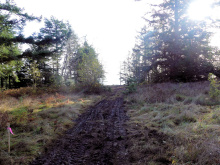 BCO - SL4 129 Joyce Rd