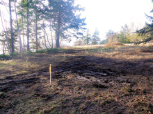 BCO - SL4 129 Joyce Rd