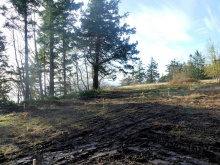 BCO - SL4 129 Joyce Rd