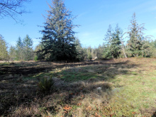 BCO - SL4 129 Joyce Rd