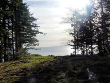 BCO - SL4 129 Joyce Rd