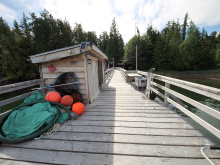 Denny Island Lot 34 Whiskey Cove