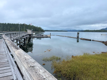Denny Island Lot 34 Whiskey Cove