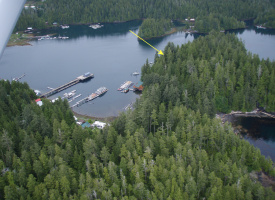 Lots 2&3 Walters Island