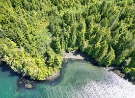 Cape Scott, Block C Shushartie