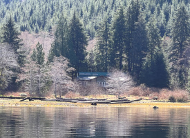 DL389 McBride Bay