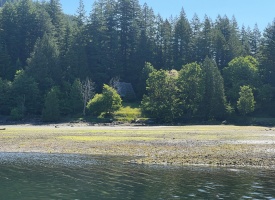 BCO-LotsA&BGraniteBay-QuadraIsland
