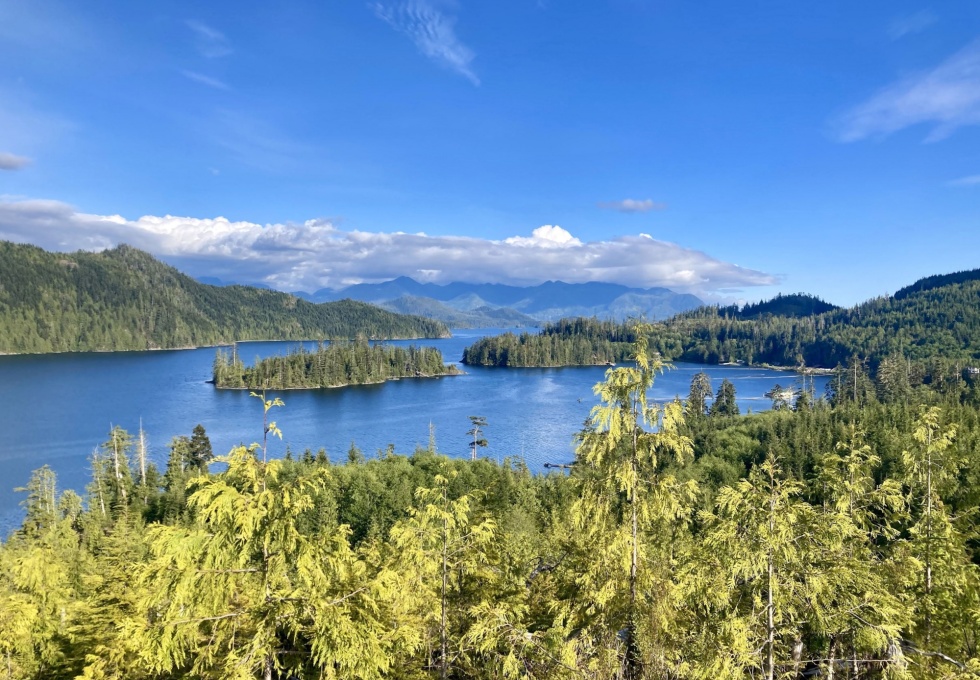 BCO -  Lot 1 Plumper Harbour Nootka Island 