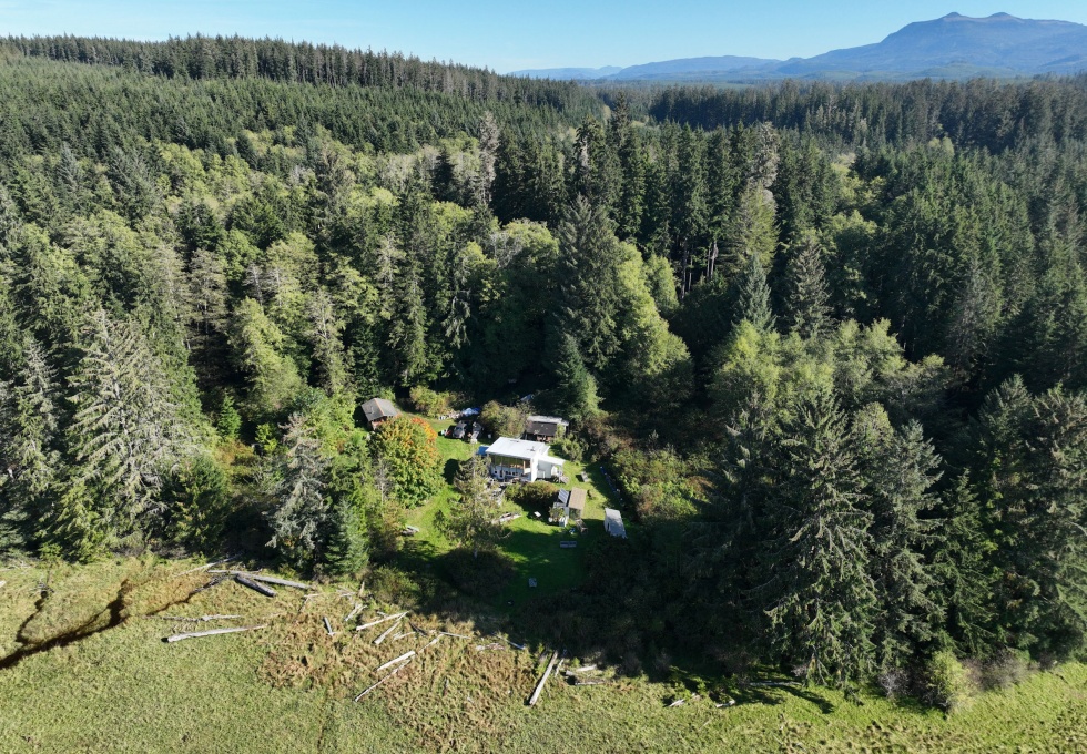 BCOceanfront-RupertInlet-RuralResidentialLicenceHomestead