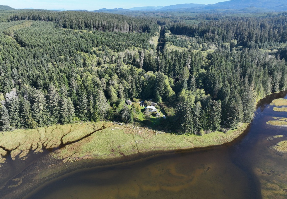 BCOceanfront-RupertInlet-RuralResidentialLicenceHomestead