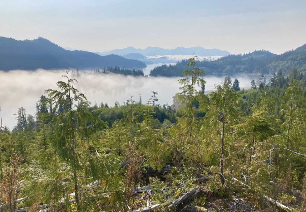 BCO -  Lot 1 Plumper Harbour Nootka Island 