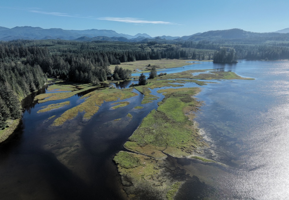 BCOceanfront-RupertInlet-RuralResidentialLicenceHomestead