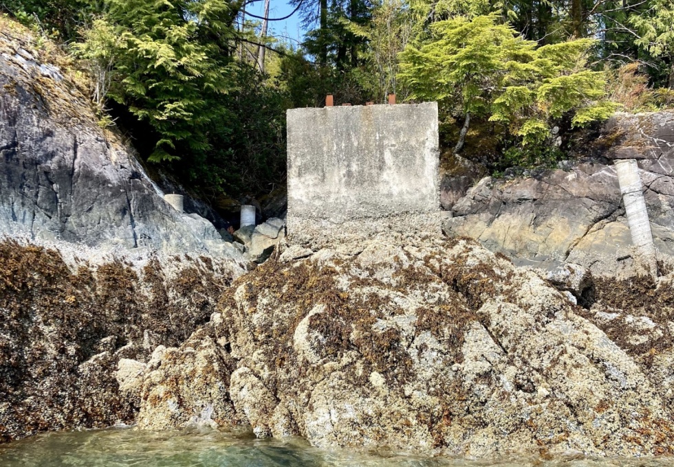 BCO -  Lot 1 Plumper Harbour Nootka Island 