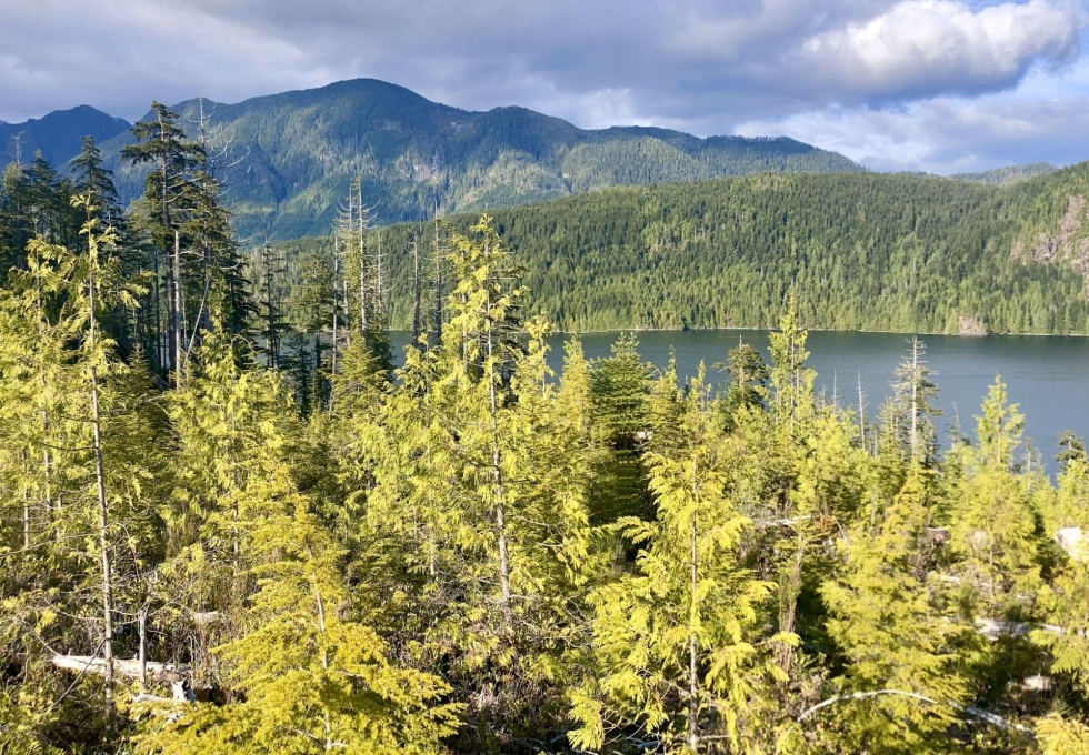 BCO -  Lot 1 Plumper Harbour Nootka Island 