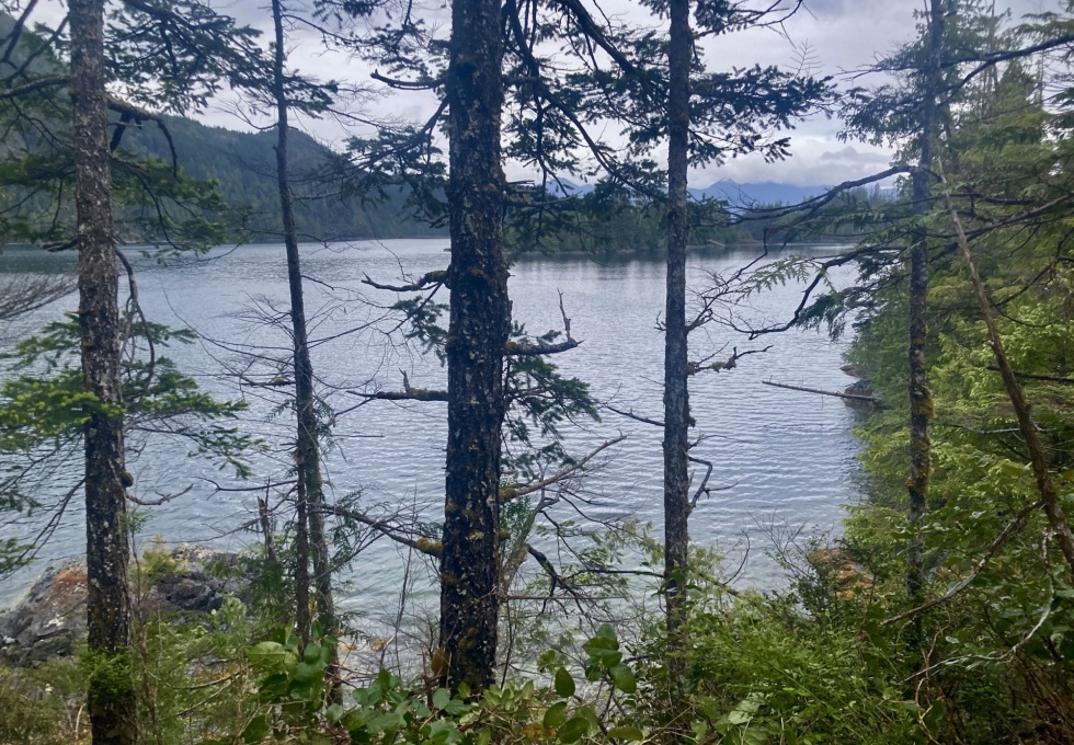 BCO -  Lot 1 Plumper Harbour Nootka Island 