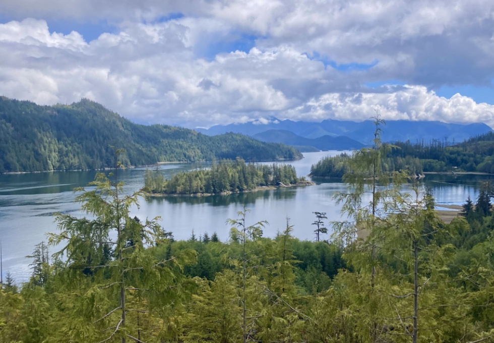 BCO -  Lot 1 Plumper Harbour Nootka Island 