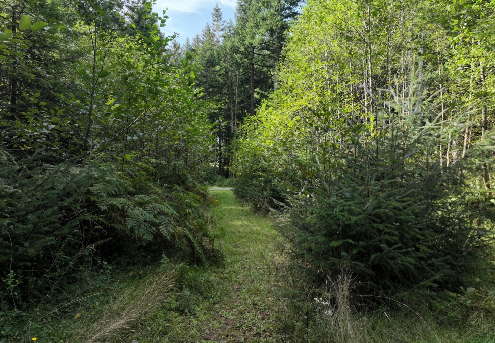 BCO-129JoyceRdSL7-QuadraIsland
