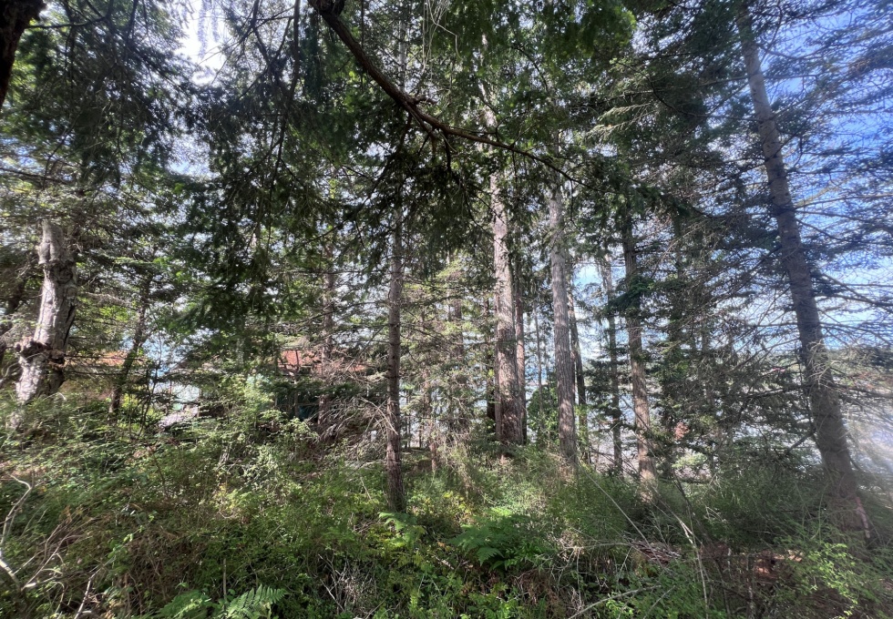 BCO - Lot 11 Gillies Bay Rd, Texada Island