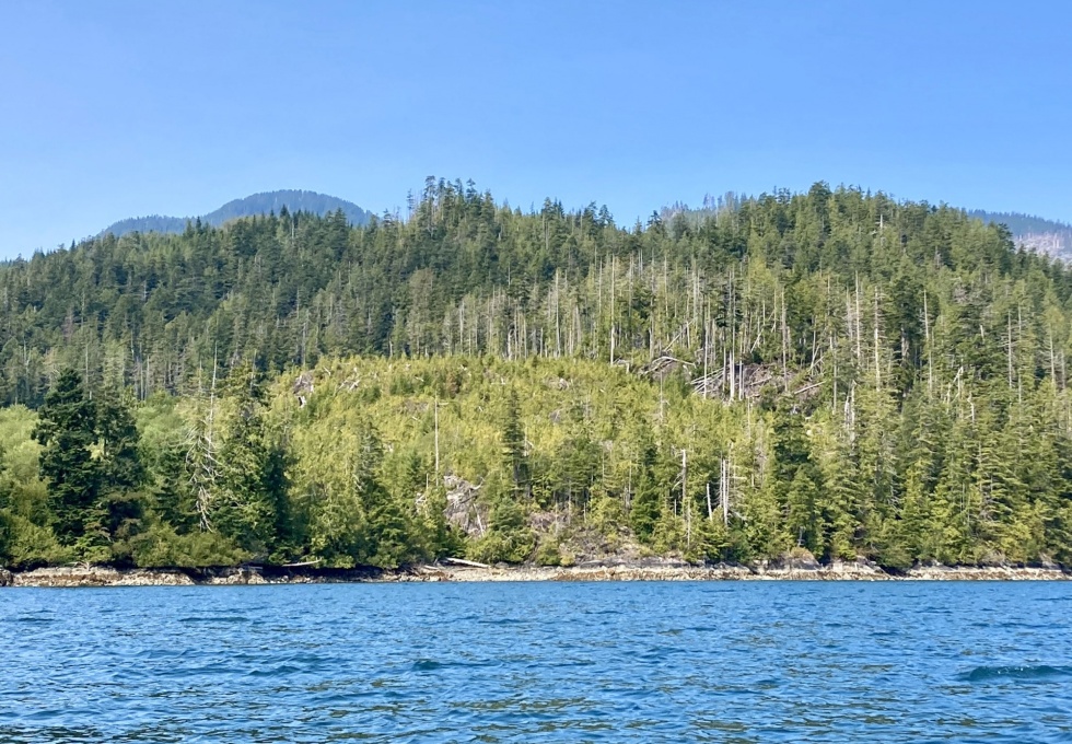 BCO -  Lot 1 Plumper Harbour Nootka Island 