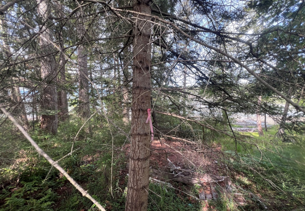 BCO - Lot 11 Gillies Bay Rd, Texada Island