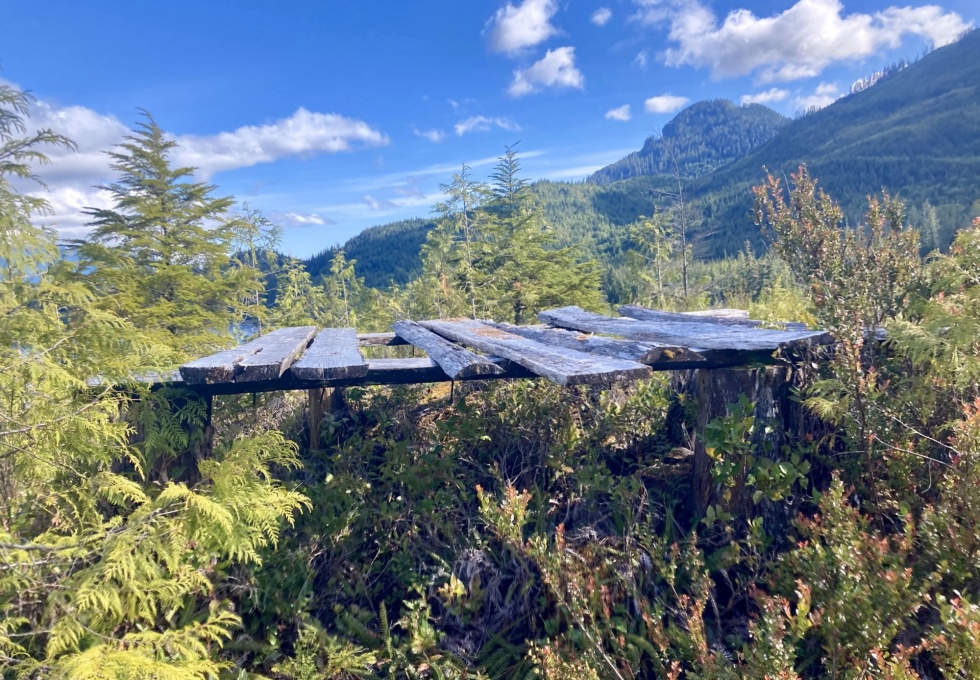 BCO -  Lot 1 Plumper Harbour Nootka Island 