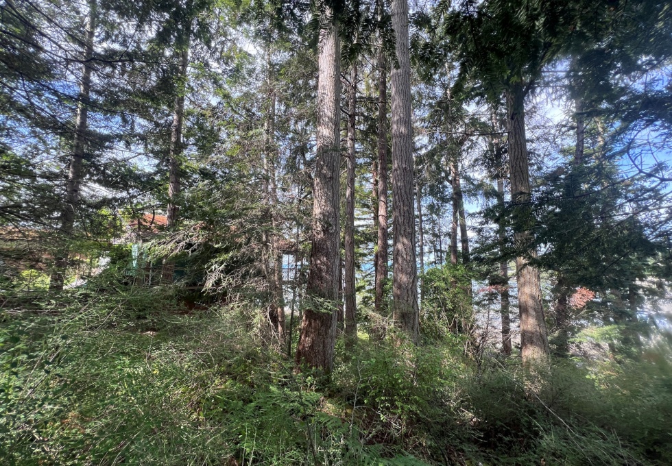 BCO - Lot 11 Gillies Bay Rd, Texada Island