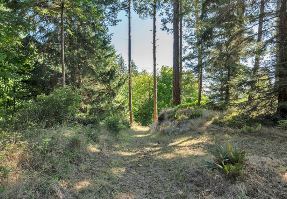 BCO - SL4 129 Joyce Rd