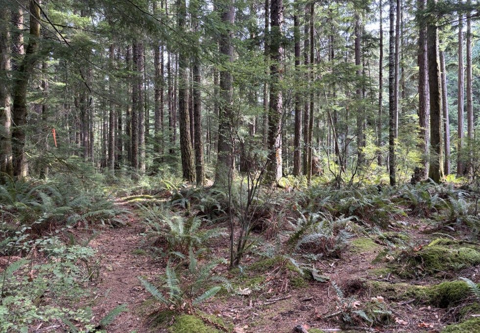 BCO-129JoyceRdSL7-QuadraIsland