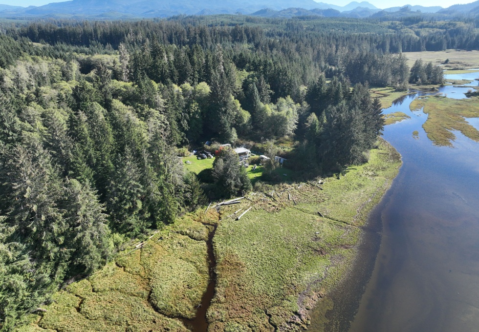 BCOceanfront-RupertInlet-RuralResidentialLicenceHomestead