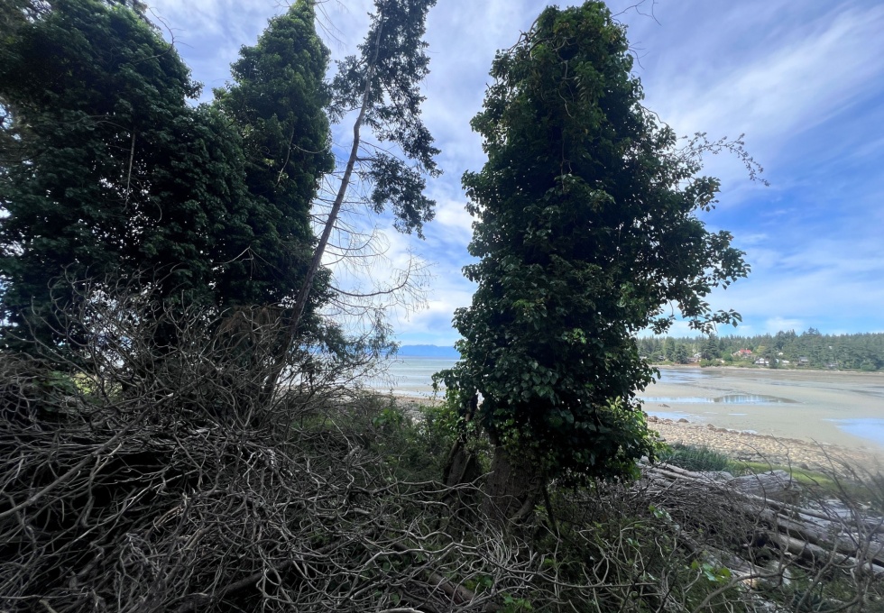 BCO - Lot 11 Gillies Bay Rd, Texada Island