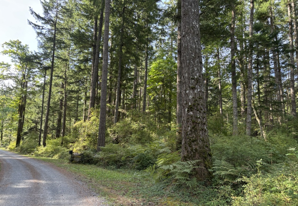 BCO-129JoyceRdSL7-QuadraIsland