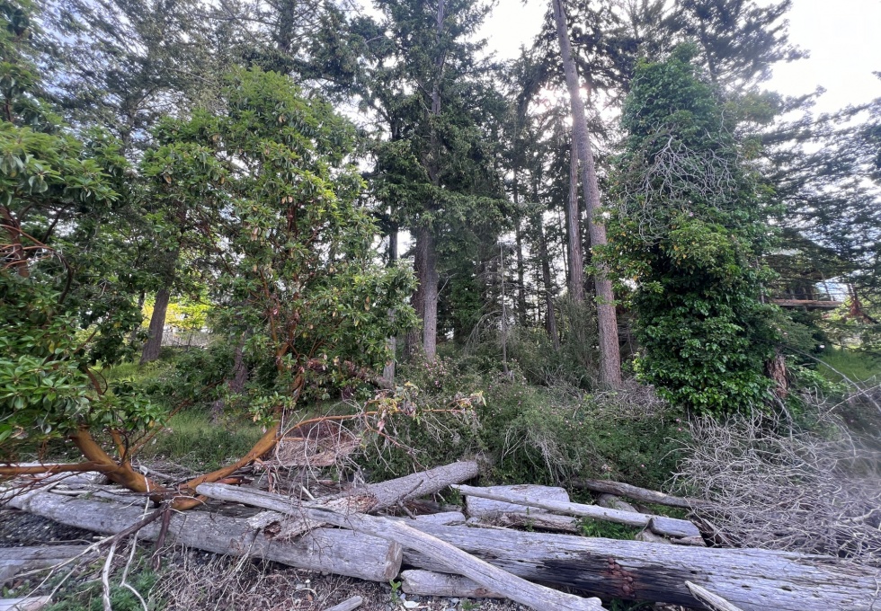 BCO - Lot 11 Gillies Bay Rd, Texada Island