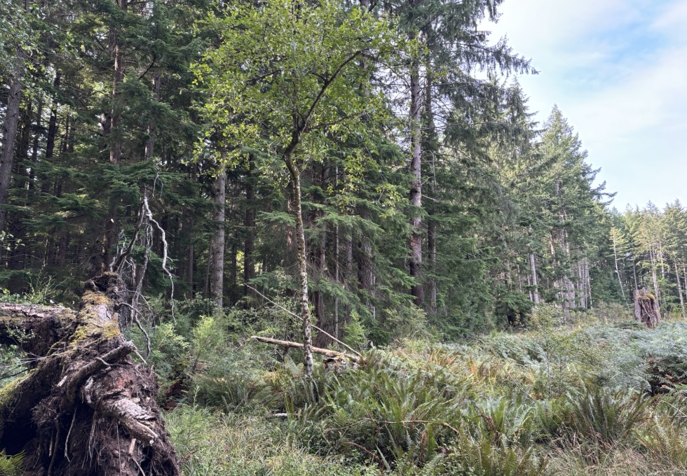 BCO-129JoyceRdSL7-QuadraIsland