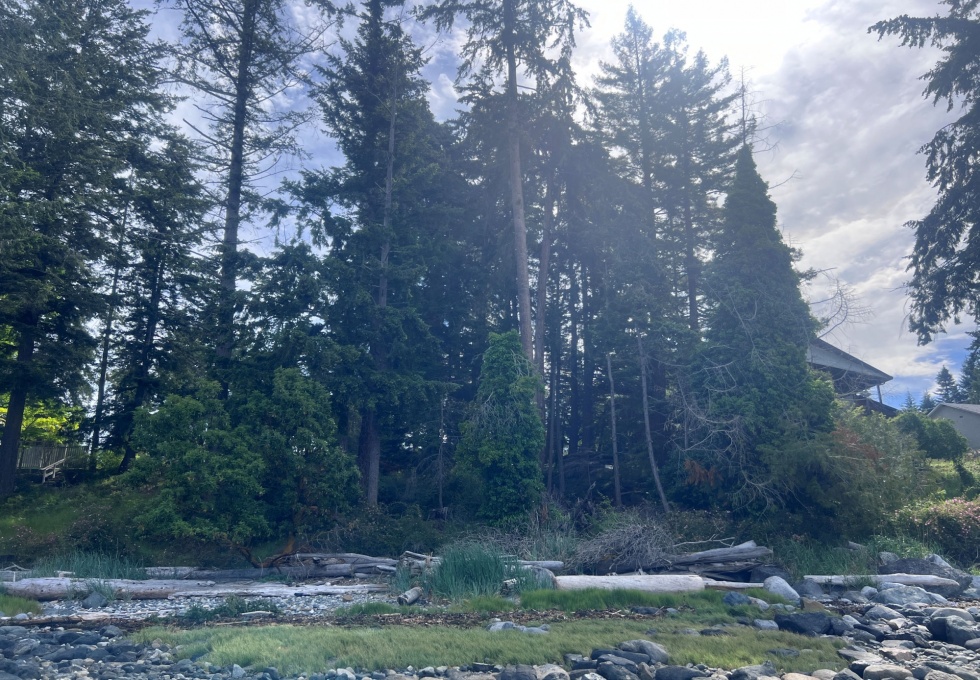 BCO - Lot 11 Gillies Bay Rd, Texada Island