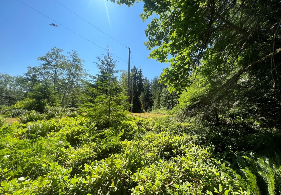 BCO-LotsA&BGraniteBay-QuadraIsland