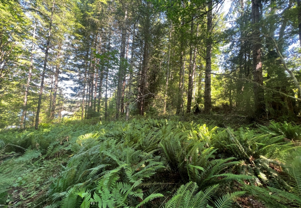 BCO-LotsA&BGraniteBay-QuadraIsland