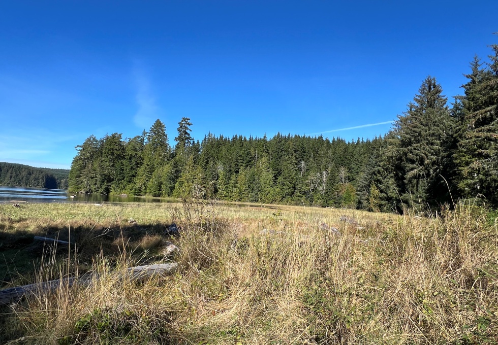 BCOceanfront-RupertInlet-RuralResidentialLicenceHomestead