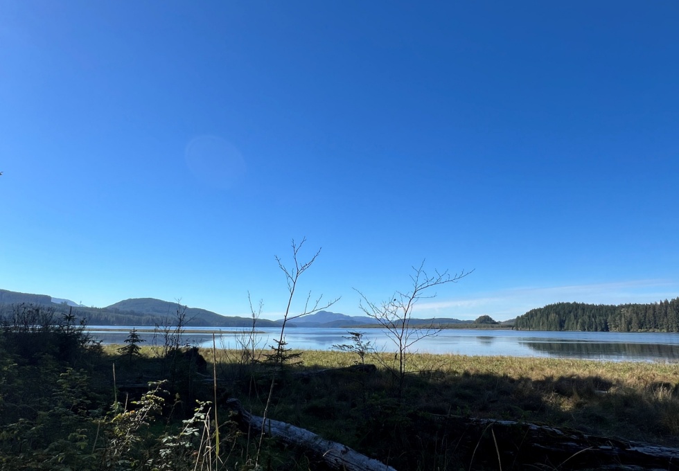 BCOceanfront-RupertInlet-RuralResidentialLicenceHomestead