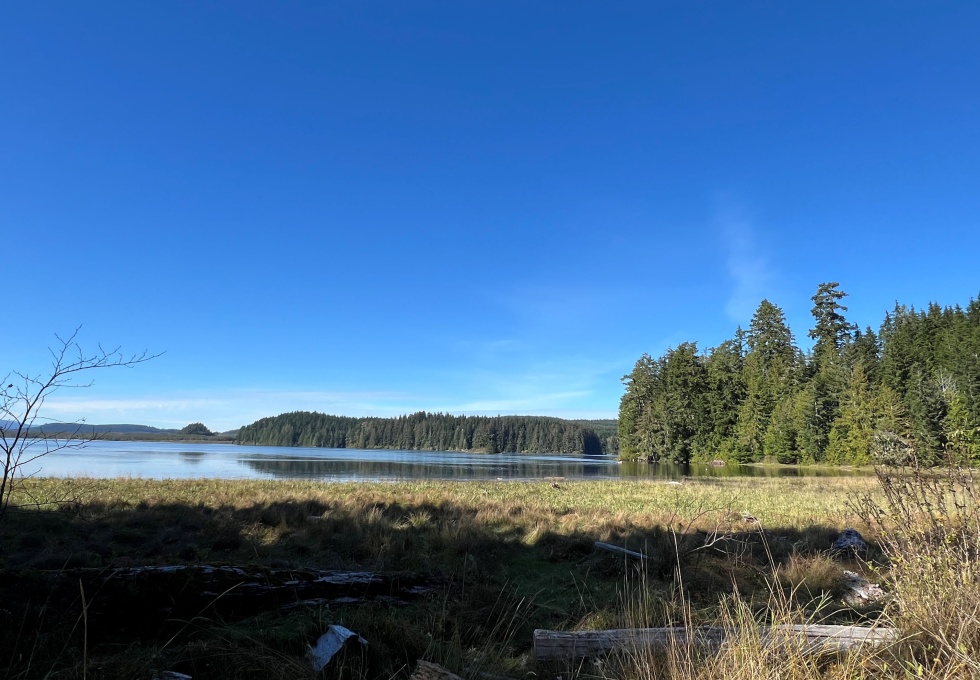BCOceanfront-RupertInlet-RuralResidentialLicenceHomestead