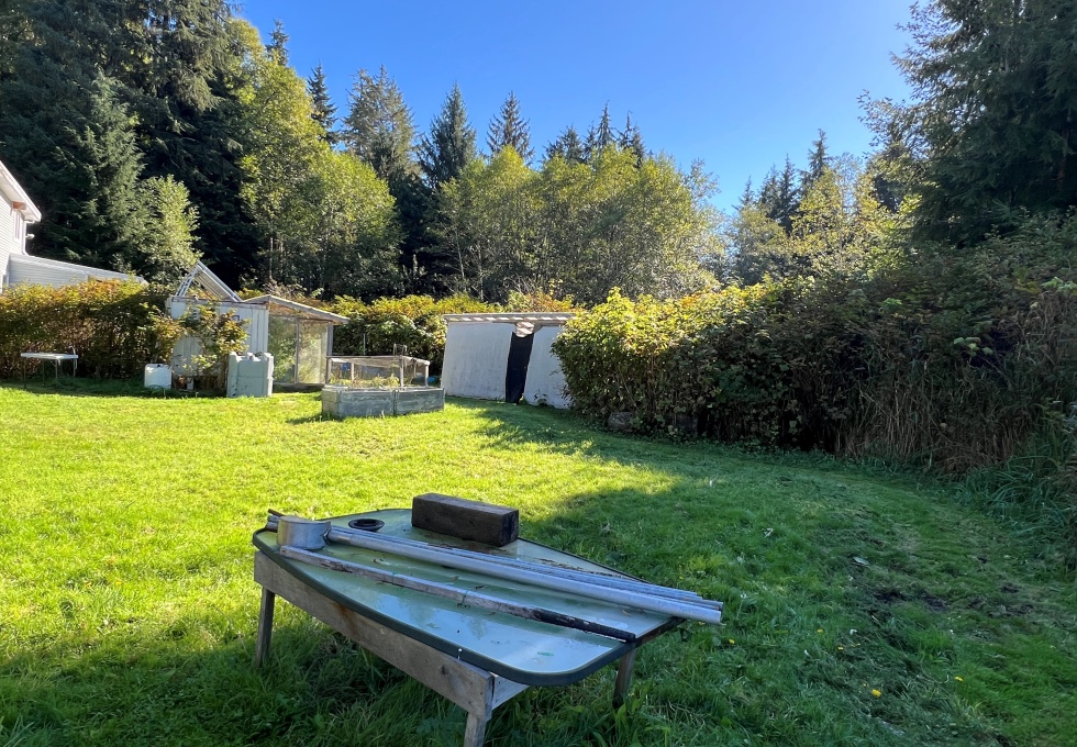 BCOceanfront-RupertInlet-RuralResidentialLicenceHomestead
